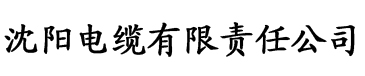 加长版电缆厂logo